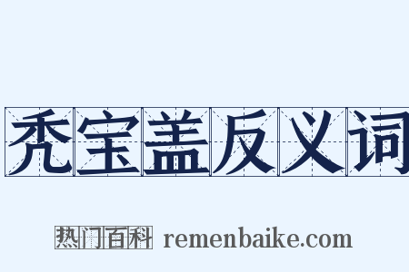 秃宝盖反义词是什么意思的图片